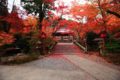 鍬山神社 拝殿前の石橋の紅葉④
