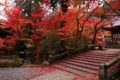 鍬山神社 拝殿前の石橋の紅葉⑤