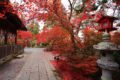 鍬山神社 拝殿周辺の紅葉④