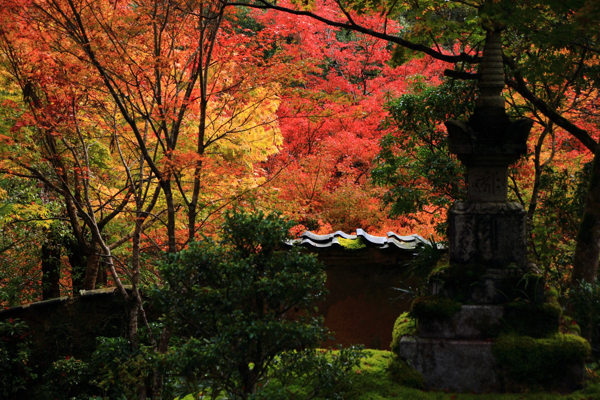 苔や石塔を染める方丈庭園の溢れる紅葉と多彩な秋色