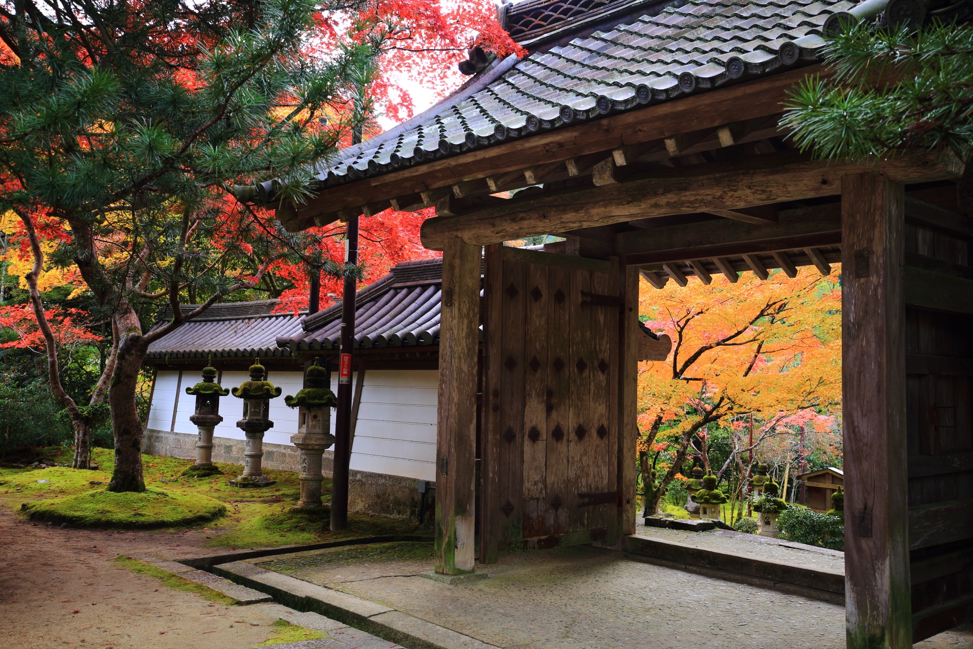 西明寺の表門と溢れる多彩な紅葉