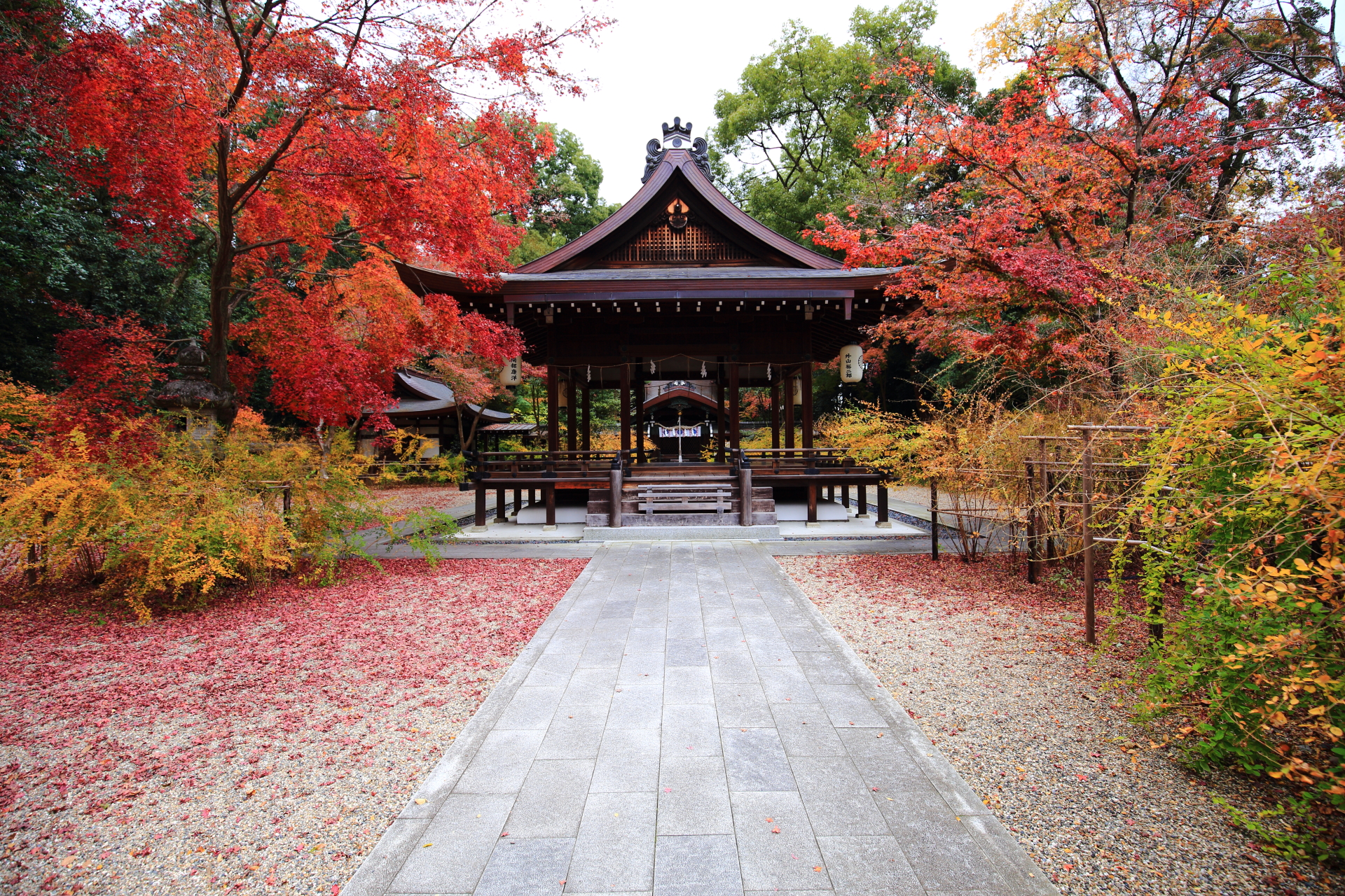 色とりどりの鮮やかなもみじと萩　梨木神社の紅葉