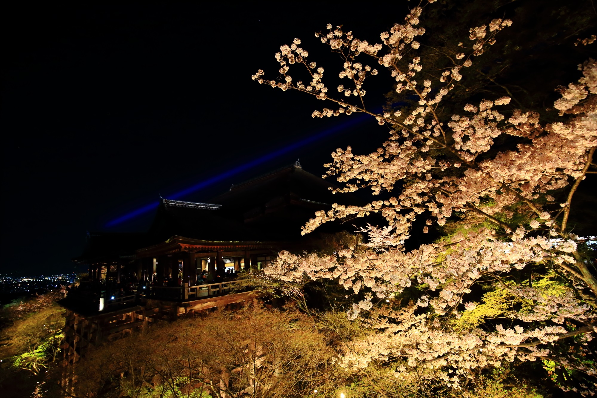 春の清水寺で良く見る清水の舞台（本堂）と夜桜