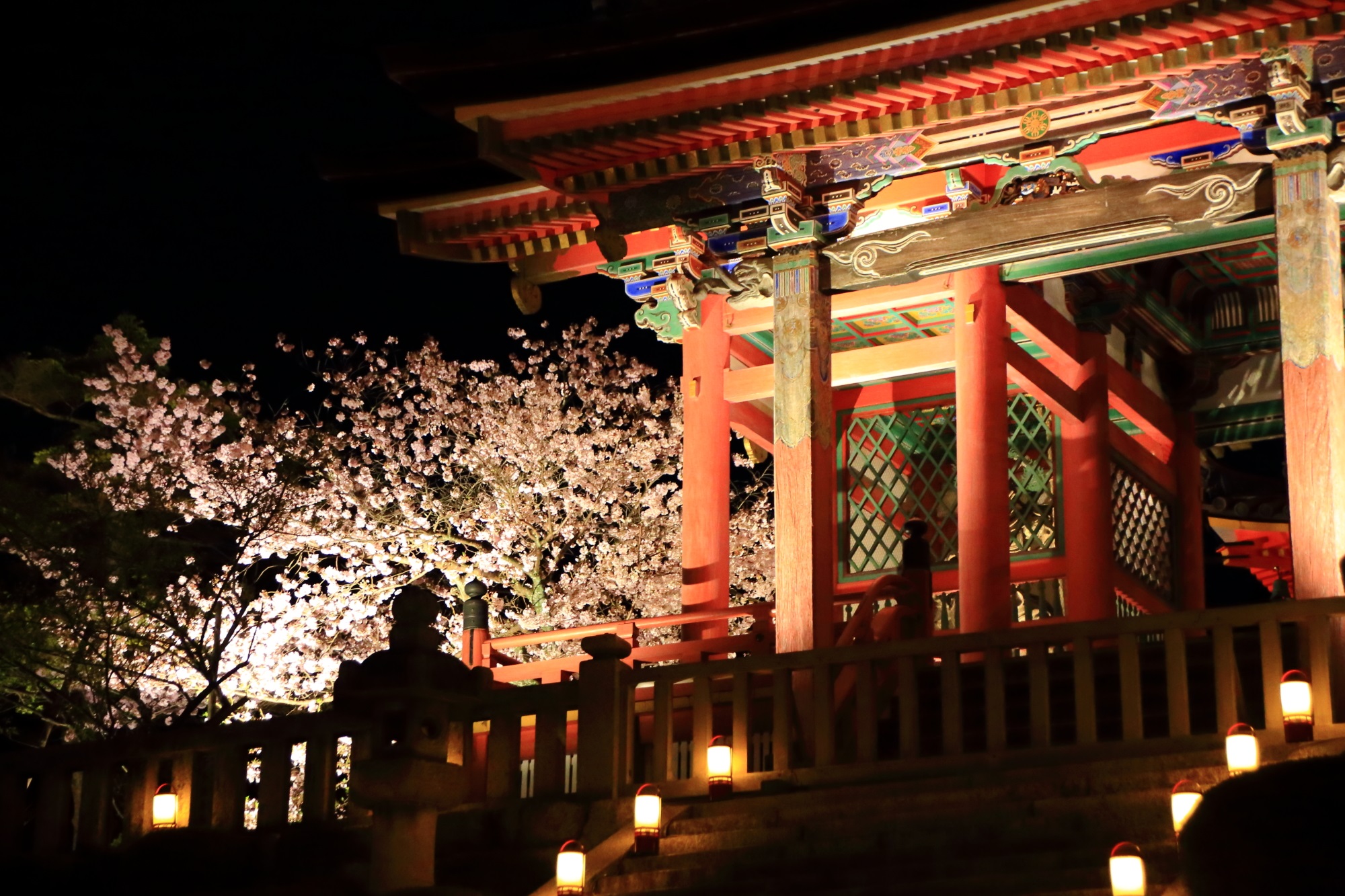 清水寺の西門と浮かび上がる夜桜