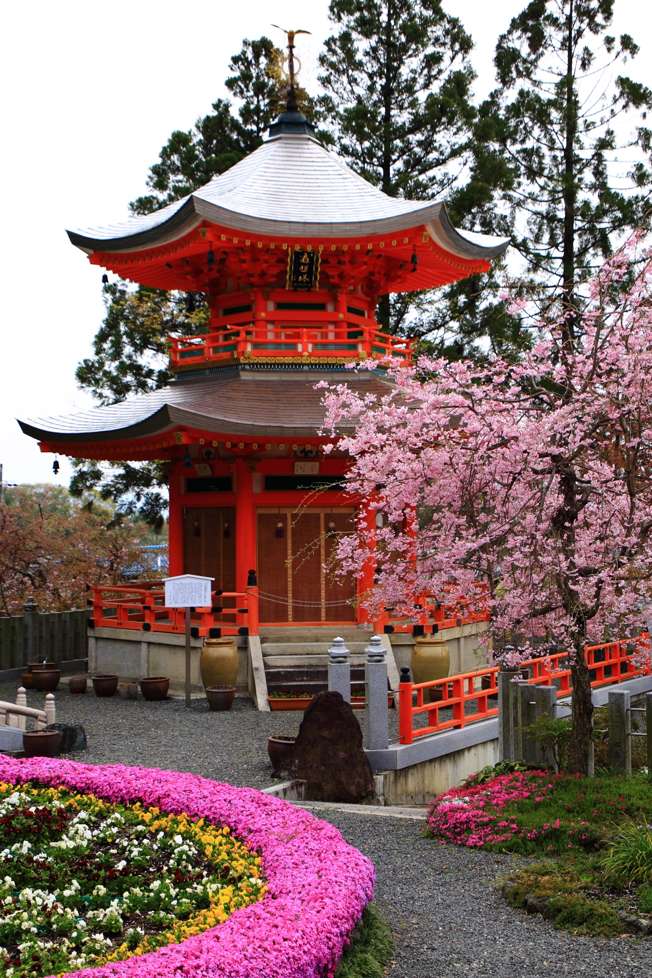 遍照塔としだれ桜と芝桜の絵になる春の風景