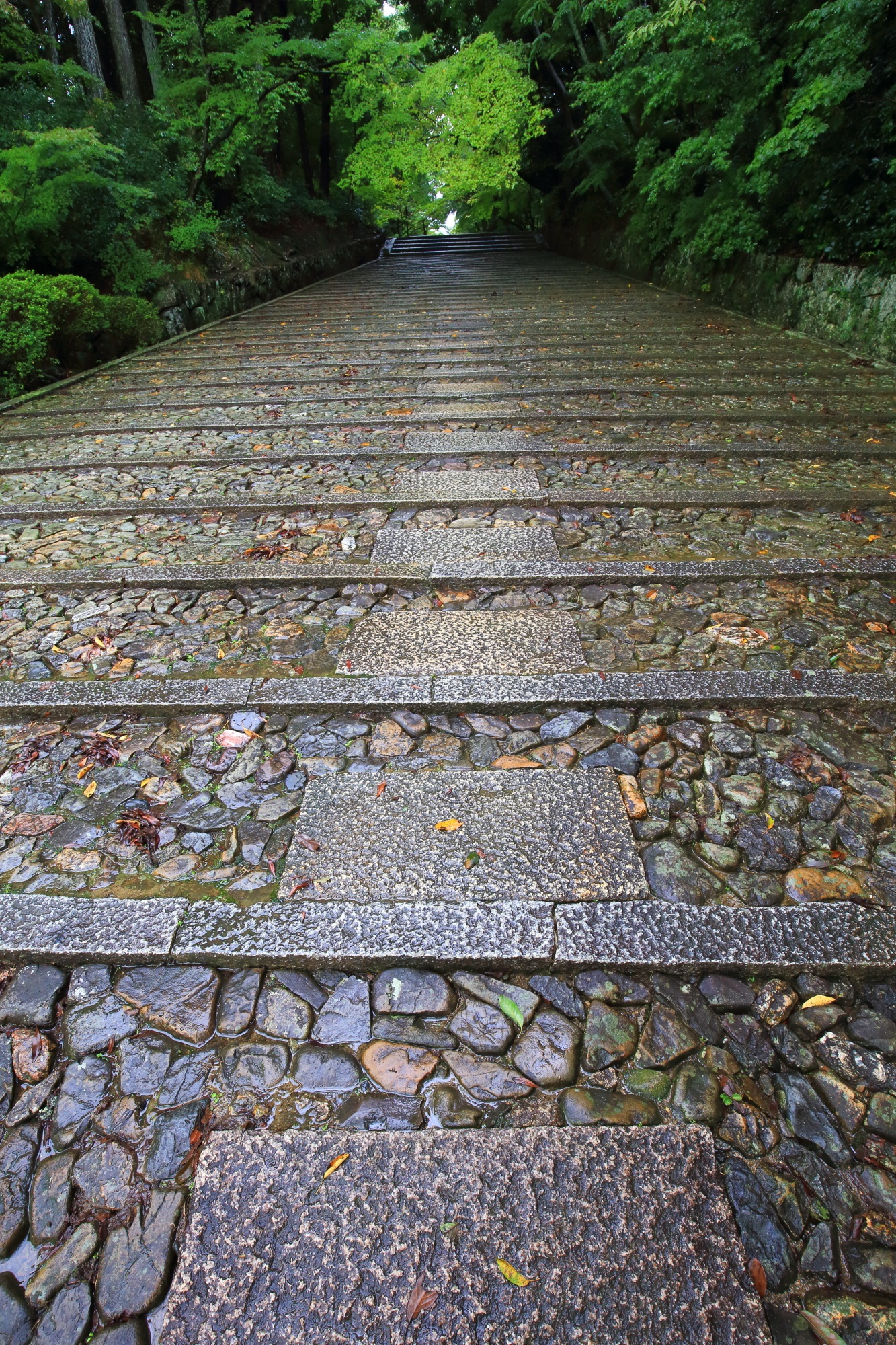 光明寺の長い石畳の表参道