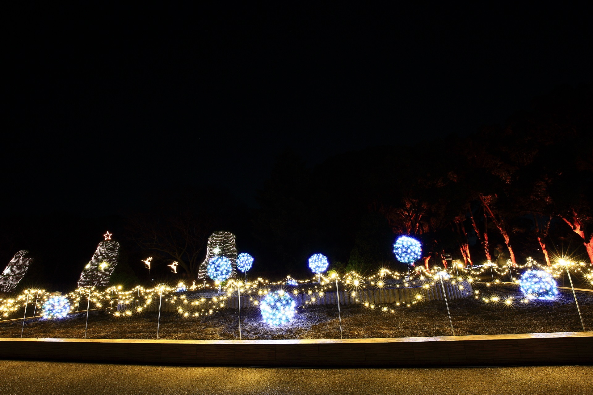 Kyoto Botanical Garden illumination