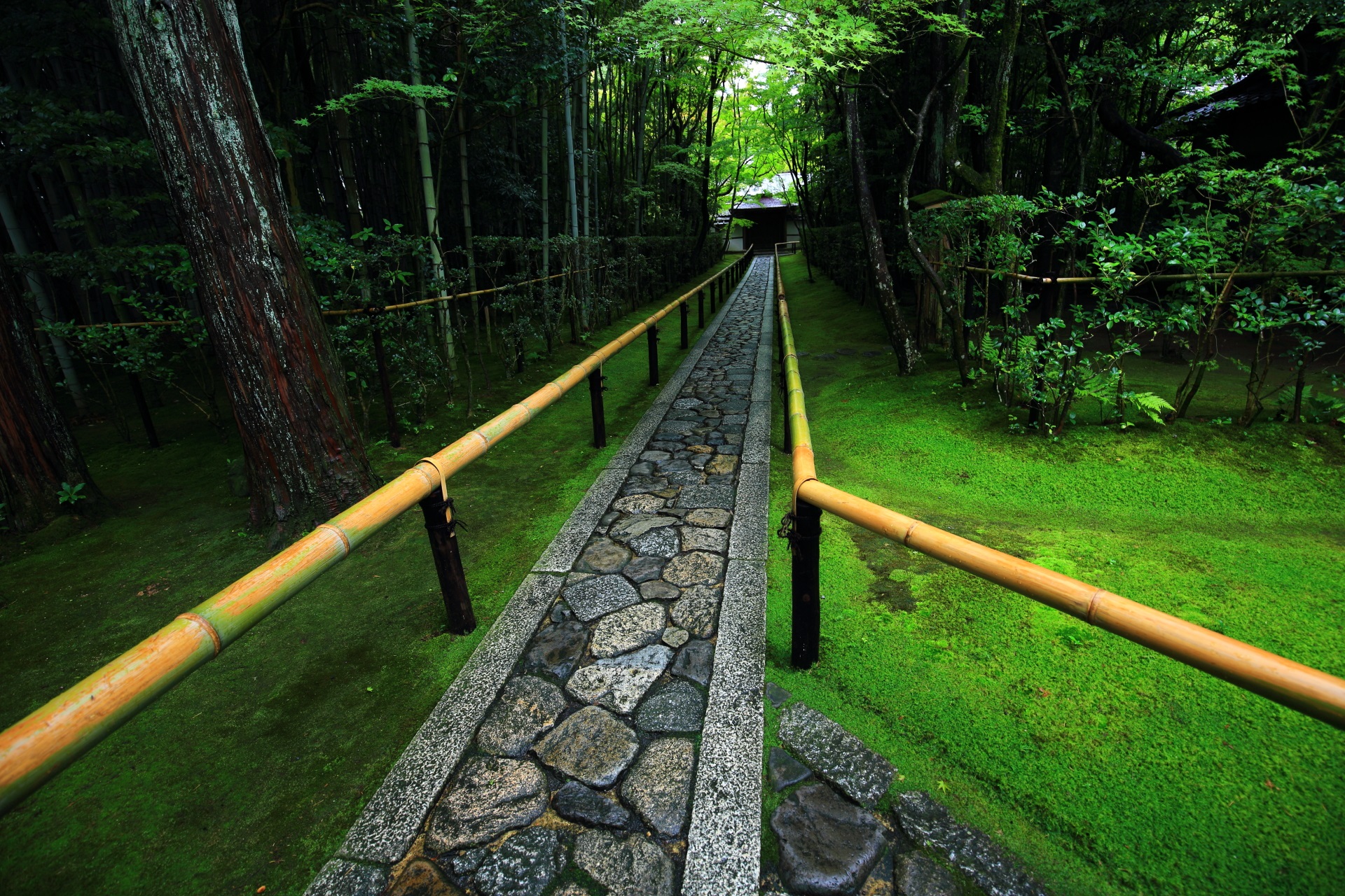 大徳寺塔頭高桐院の風情ある石畳と苔の参道