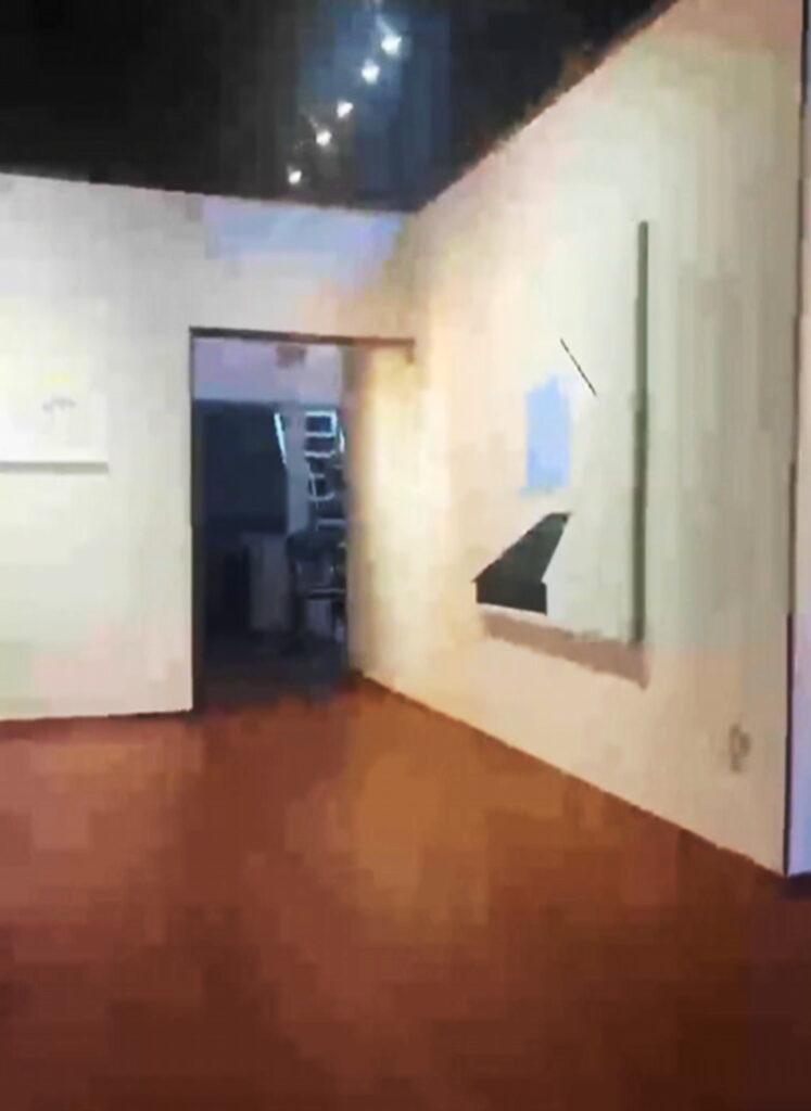 かさのんチャンネル 個展 出典：YouTube